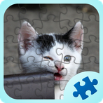 Funny Animals Jigsaw Puzzles