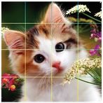 Puzzle Cute Cats - Tile Puzzle