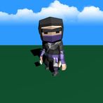 NinjaSwing