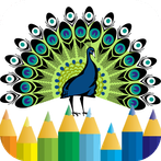 peacock coloring book