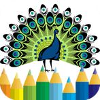 peacock coloring book