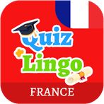 QuizLingo - French Grammar Tes