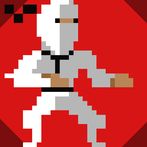 Ninja Attack: game of ninjas