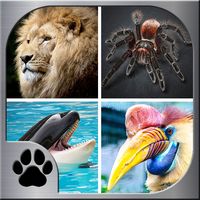 Memory Match - Jungle Animals