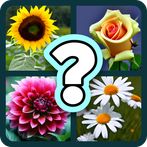Garden Quiz: Identify Flowers