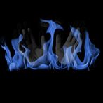 The Almighty - Fortune Teller