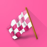 Ülke Tahmin Etme Oyunu - Bayr