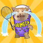 Cat Tennis Master