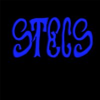 Stecs