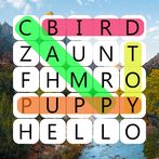 Word Search