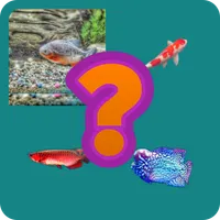 tebak gambar nama ikan