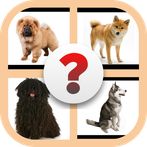 Dog Breeds trivia