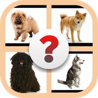 Dog Breeds trivia