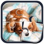Cute Dog Puzzle