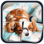 Cute Dog Puzzle