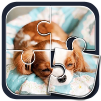 Cute Dog Puzzle