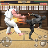 Kung fu Karate Gym Fight Game