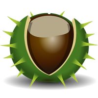 Chestnut
