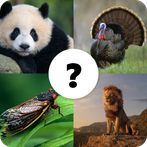 Animals Quiz