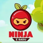 Ninja z Sadu