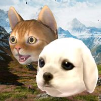 강아지고양이키우기