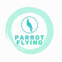 Parrot Flying