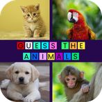 Animal World: Guess the Animal