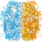 Attention, memory, brain and y