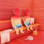 Sauna Heater