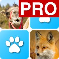 Pairs: Animals Pro
