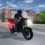 American Police Bikes Driving