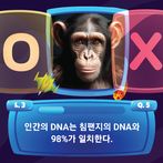 My OX Star Quiz