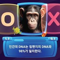 My OX Star Quiz