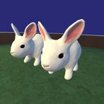 Roll the Rabbits