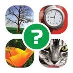 Word Quest: 4 Images 1 Answer