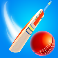 Perfect Cricket Game