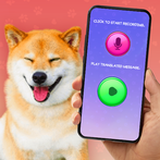 Translator for Dogs Prank