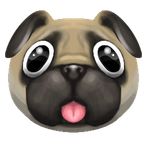 Puggy Runner