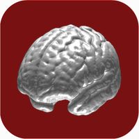 N-Back Memory Training