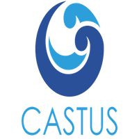 Castus game