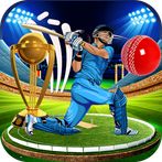 Play 3D Cricket World Cup