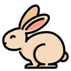 Unroll Rabbit Puzzle