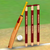 Athang Cricket Games