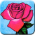 DNPO Creations