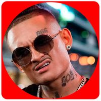 Переписка с Моргенштерном