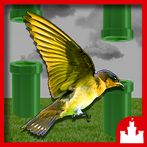 Realistic Flippy the bird hop