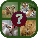 Animal quiz