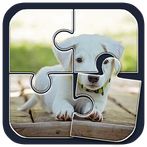 Jigsaw Happy Life