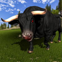 Angry Bull Attack - Bull Fight