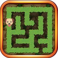 Path Loop puzzles